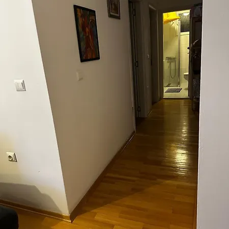 Stylish, Bright And Quiet, Center *