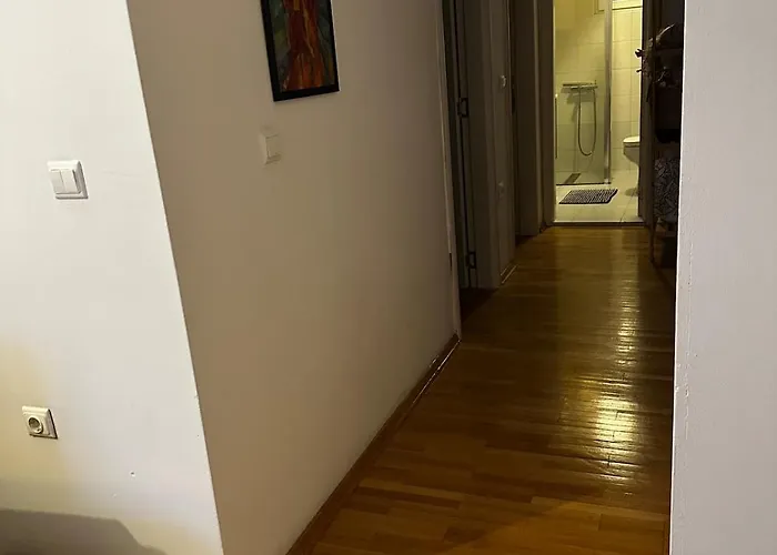 Stylish, Bright And Quiet, Center *